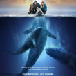 Big Miracle