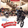Christmas In Wonderland