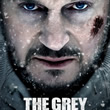 The Grey